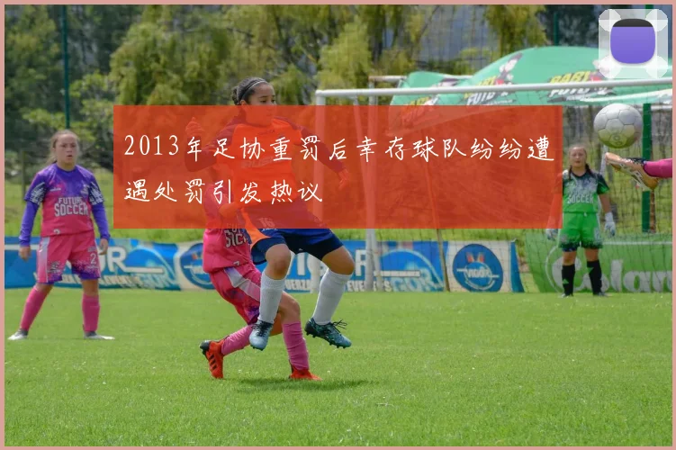 2013年足协重罚后幸存球队纷纷遭遇处罚引发热议
