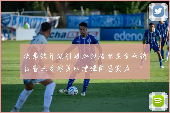 埃弗顿计划引进加拉格尔麦金和德拉普三名球员以增强阵容实力