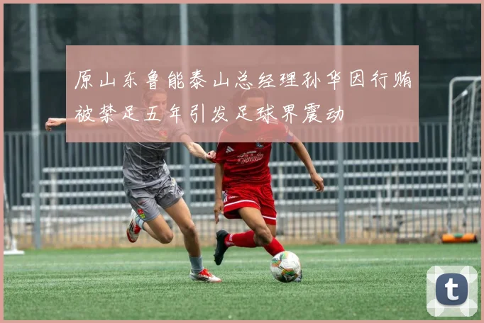 原山东鲁能泰山总经理孙华因行贿被禁足五年引发足球界震动